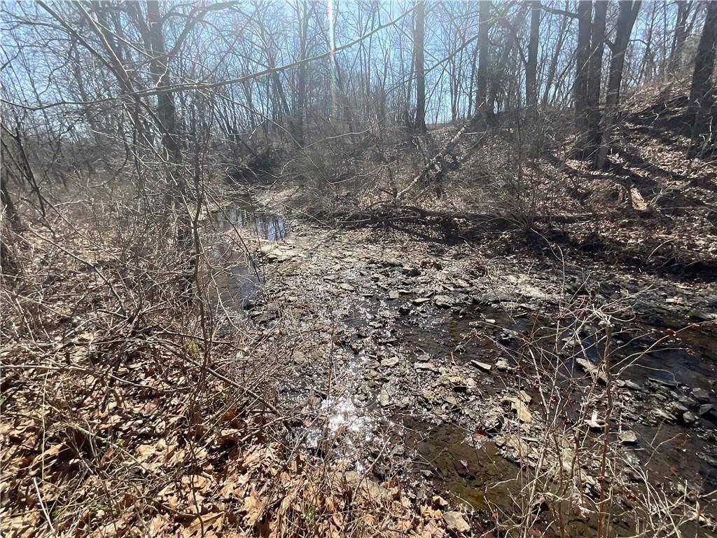 7250 SE Bobby Road, Cameron, MO 64429