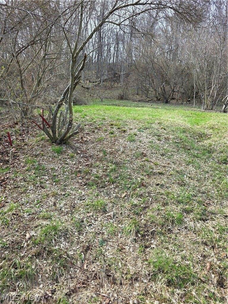 Iroquois Trail, Senecaville, OH 43780