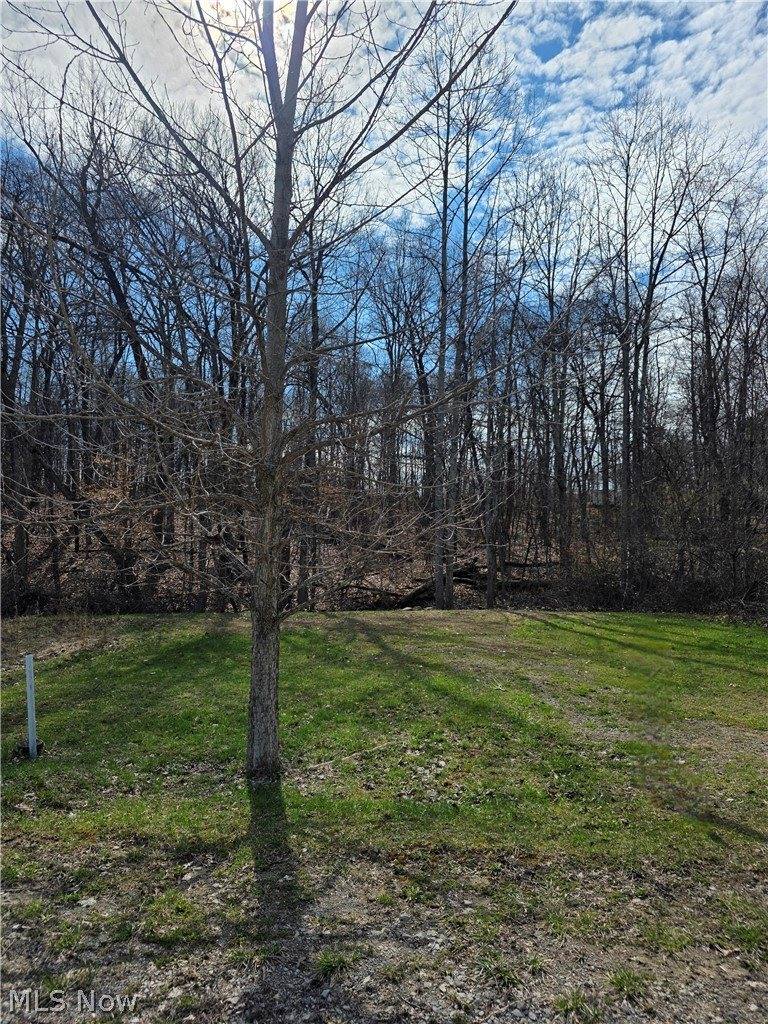 Iroquois Trail, Senecaville, OH 43780