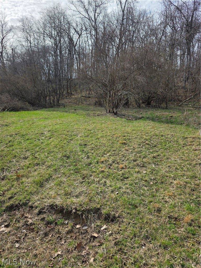 Iroquois Trail, Senecaville, OH 43780
