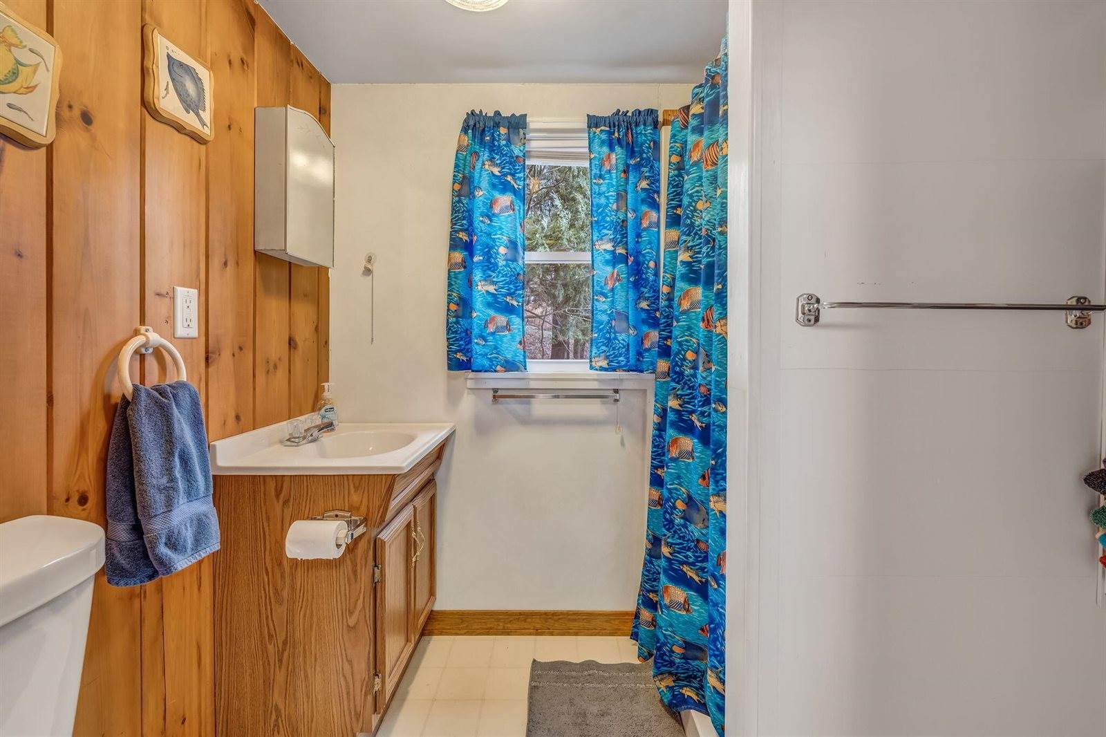 3 Olson Camp Road, Bowerbank, ME 04426