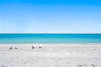 4103 Gulf Boulevard, Saint Pete Beach, FL 33706