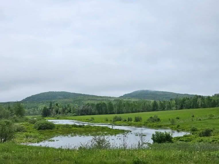 505 Loggin Road, Frankfort, ME 04438