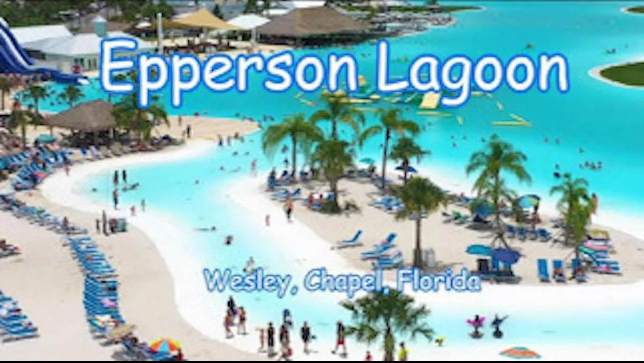 31699 Sun Kettle Loop, Wesley Chapel, FL 33545