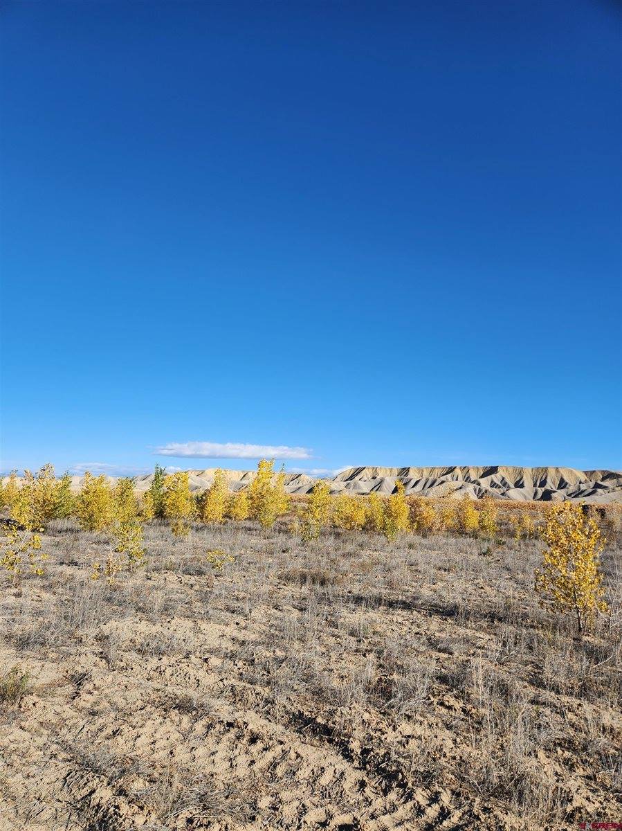 Lot 2 Peach Valley Road, Montrose, CO 81401