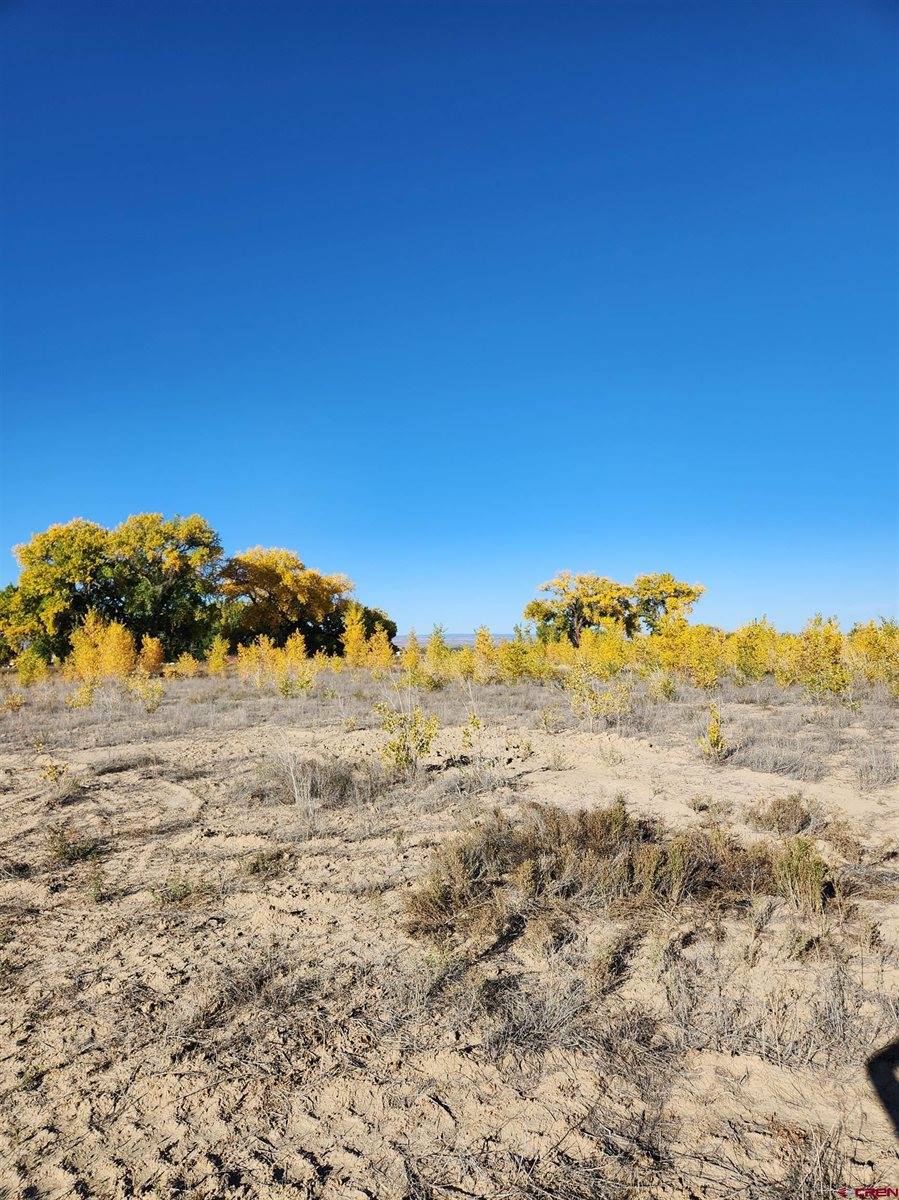 Lot 2 Peach Valley Road, Montrose, CO 81401