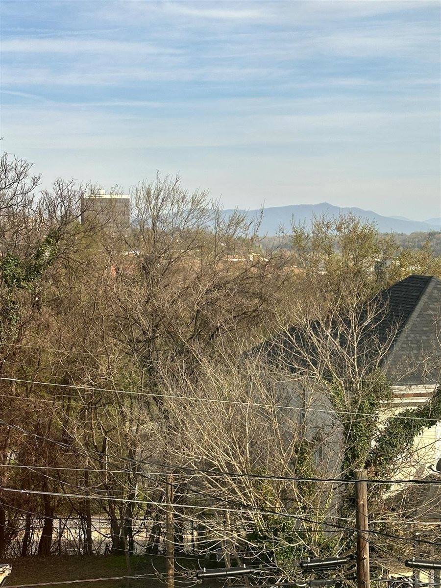 304 Walnut Street, #2, Lynchburg, VA 24504