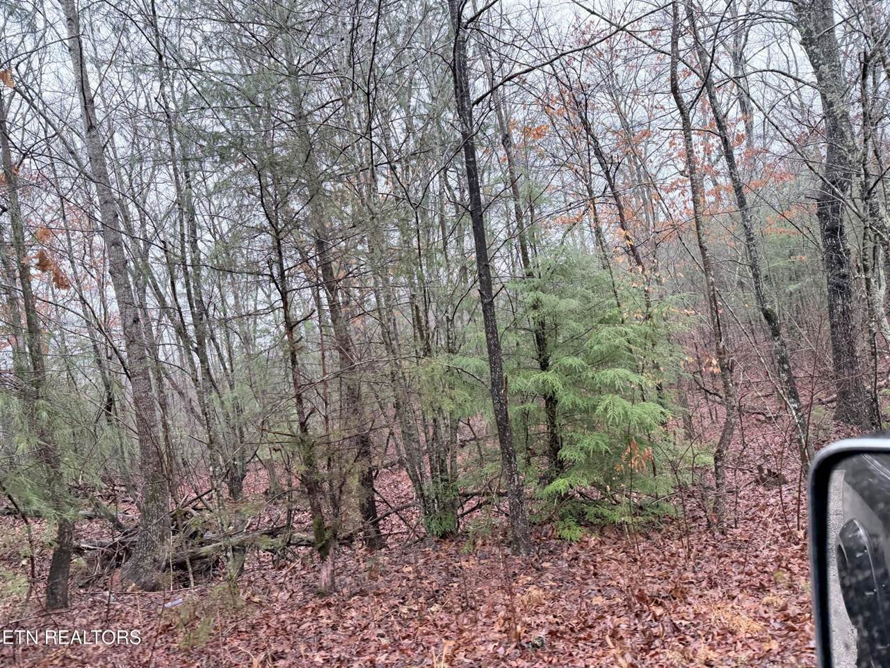 000000 hwy 68, Tellico Plains, TN 37385