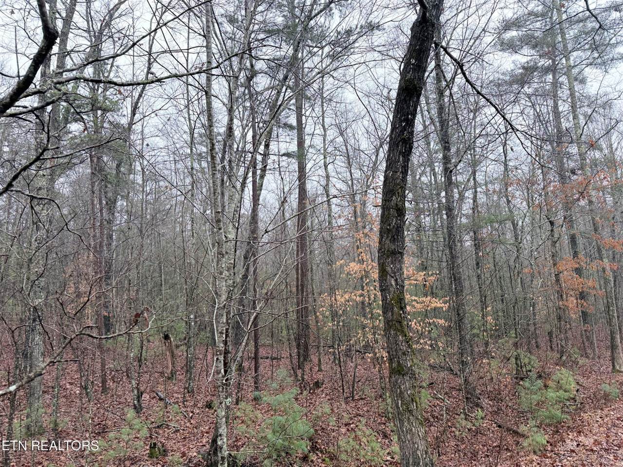 000000 hwy 68, Tellico Plains, TN 37385
