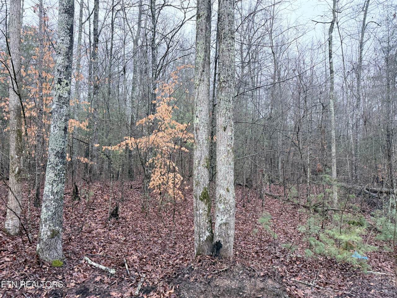000000 hwy 68, Tellico Plains, TN 37385