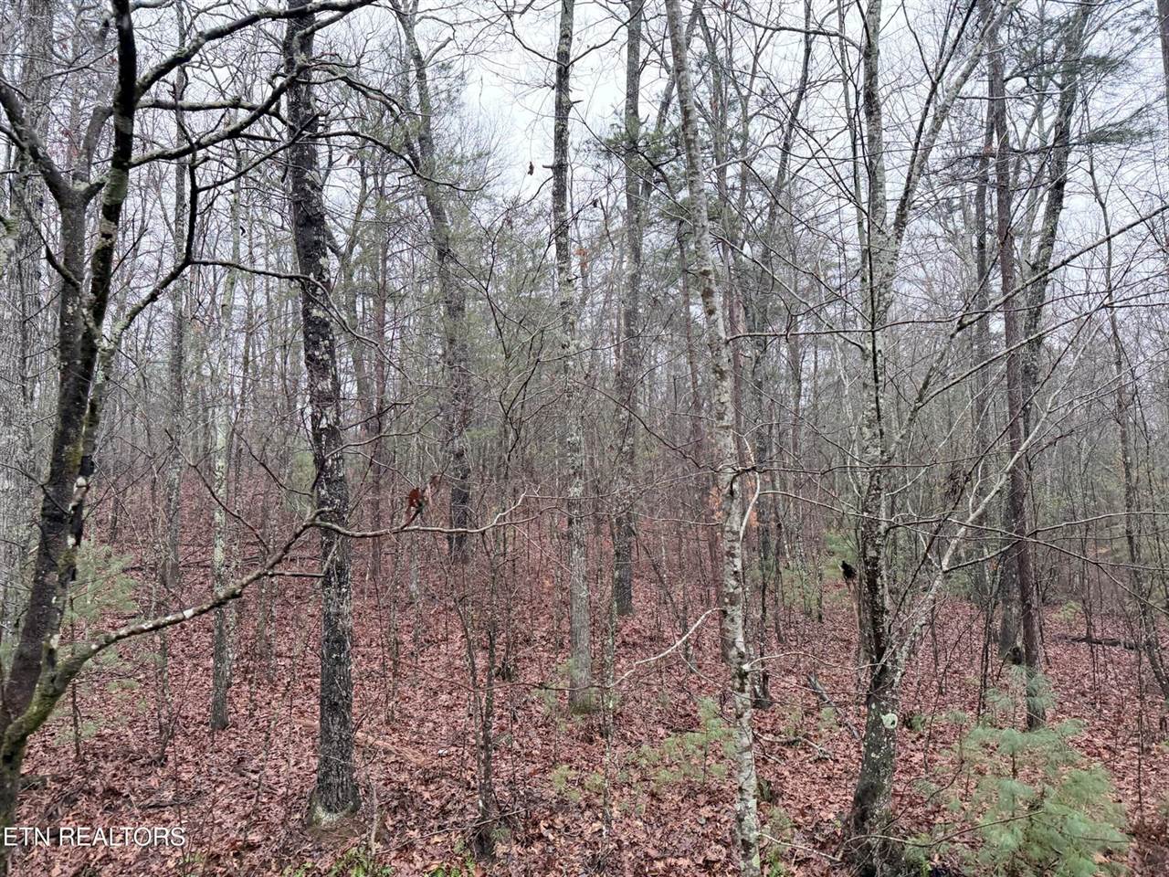 000000 hwy 68, Tellico Plains, TN 37385