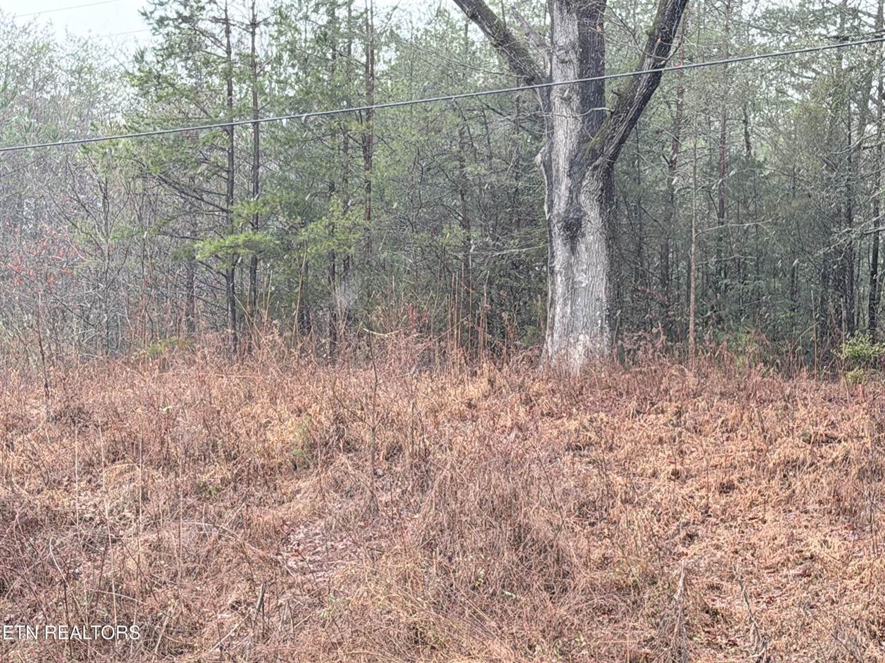 000000 hwy 68, Tellico Plains, TN 37385