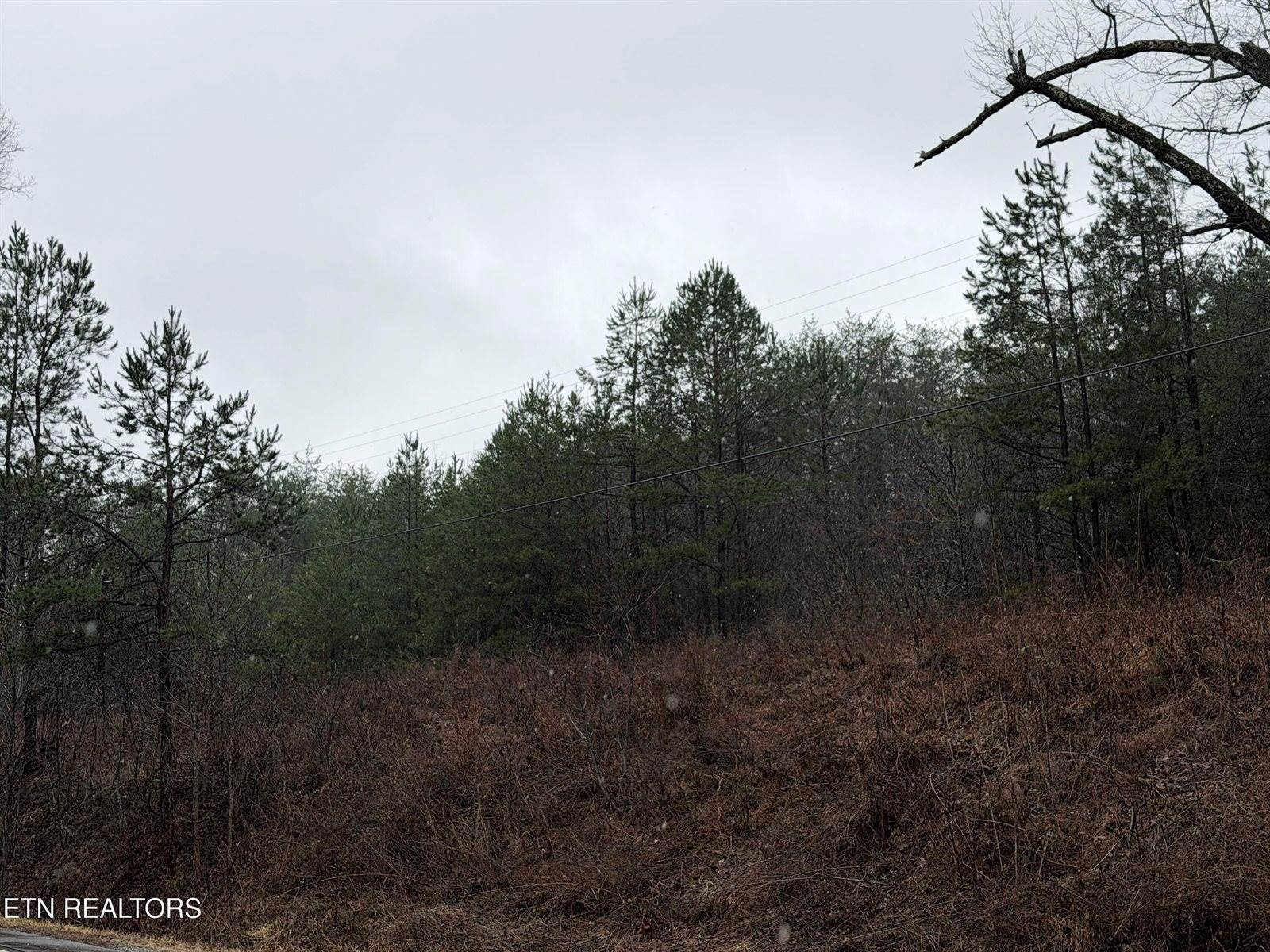 000000 hwy 68, Tellico Plains, TN 37385
