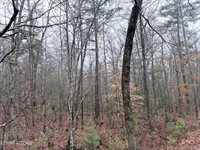 000000 hwy 68, Tellico Plains, TN 37385