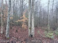 000000 hwy 68, Tellico Plains, TN 37385