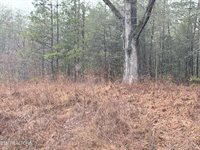 000000 hwy 68, Tellico Plains, TN 37385