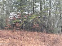 000000 hwy 68, Tellico Plains, TN 37385