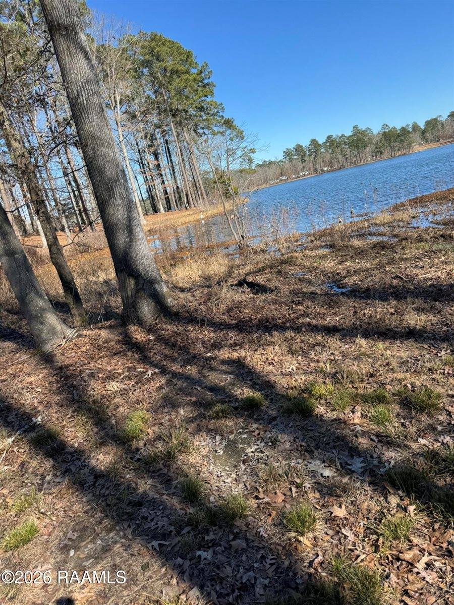Lot 12 Ramsey Rd, Chatham, LA 71226