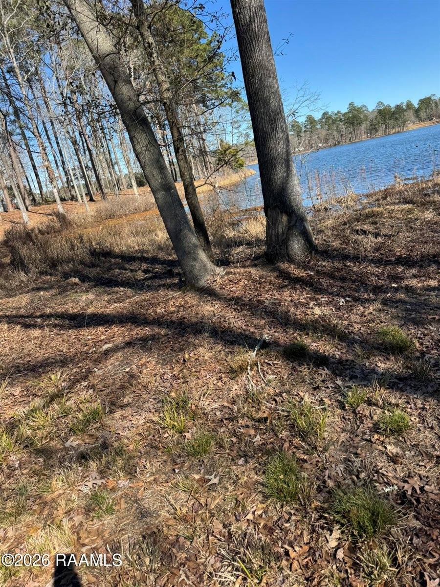 Lot 12 Ramsey Rd, Chatham, LA 71226
