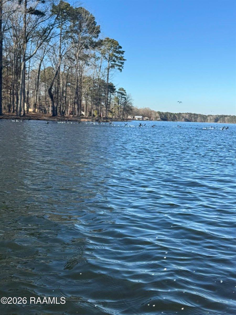 Lot 12 Ramsey Rd, Chatham, LA 71226