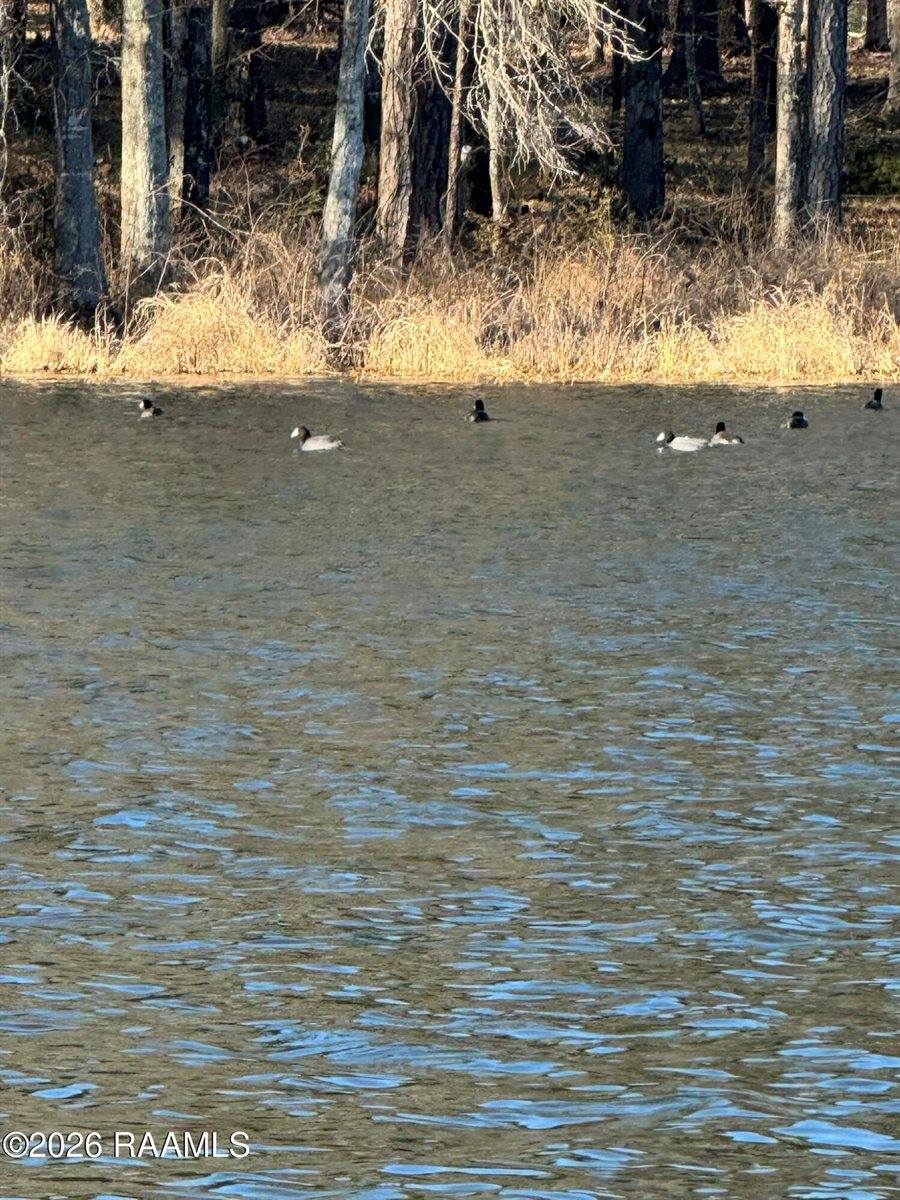 Lot 1 Ramsey Rd, Chatham, LA 71226
