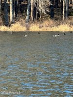 Lot 1 Ramsey Rd, Chatham, LA 71226