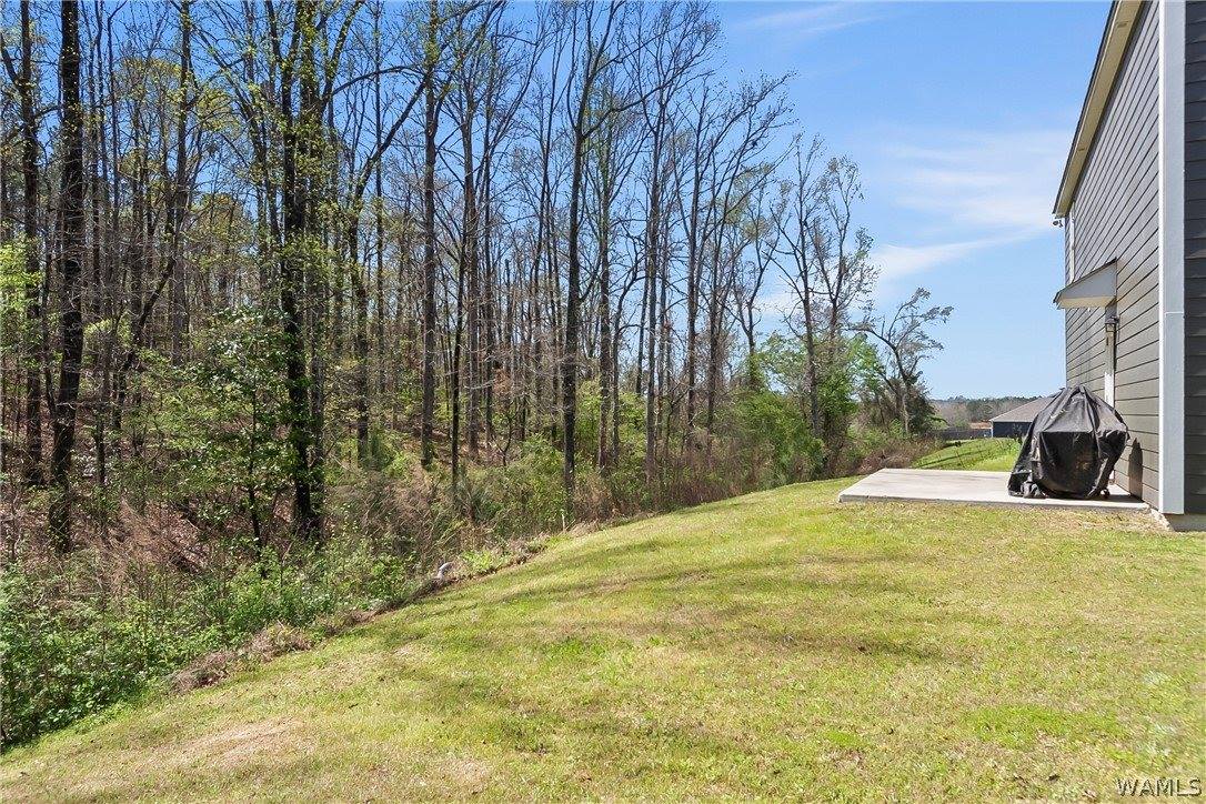 3509 Magnolia Hills Drive, Northport, AL 35473