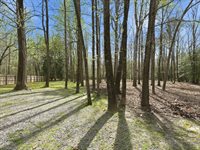 1012 Butler Branch Rd, Prince George, VA 23805