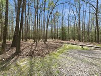 1012 Butler Branch Rd, Prince George, VA 23805