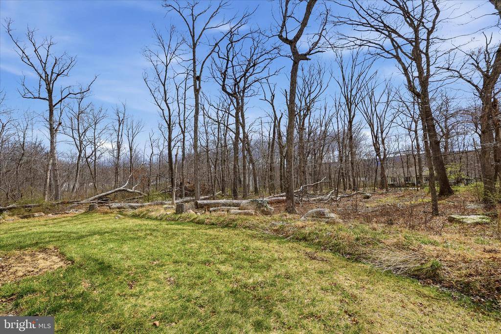 145 Graywolf Trail, Winchester, VA 22602