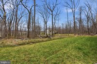 145 Graywolf Trail, Winchester, VA 22602