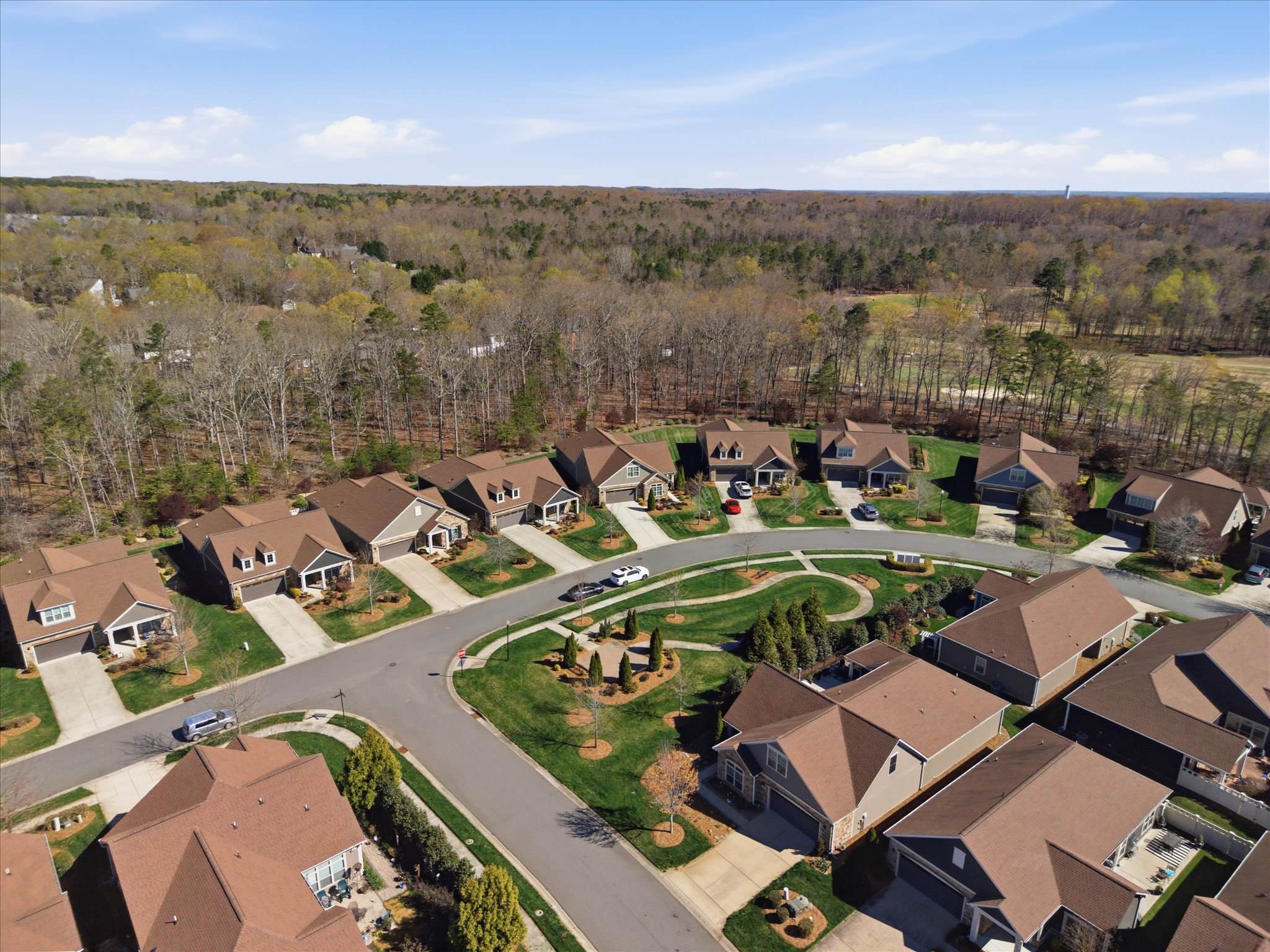 1180 Avalon Place, Matthews, NC 28104