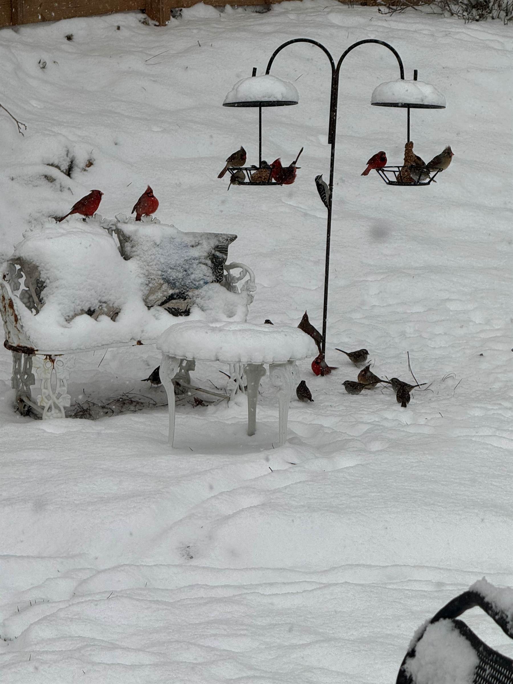 3718 Countrty Club Drive, Charlotte, NC 28205