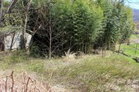 1293 Lake Logan Road, Canton, NC 28716
