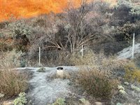 41095 Voyager Road, Hemet, CA 92544