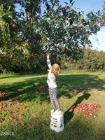 4204 Old Red Trail NW, Mandan, ND 58554