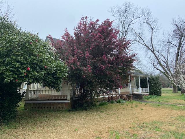 219 Main St E, Bronwood, GA 39826