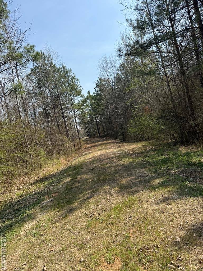 1280 Schloss Rd, Louisburg, NC 27549