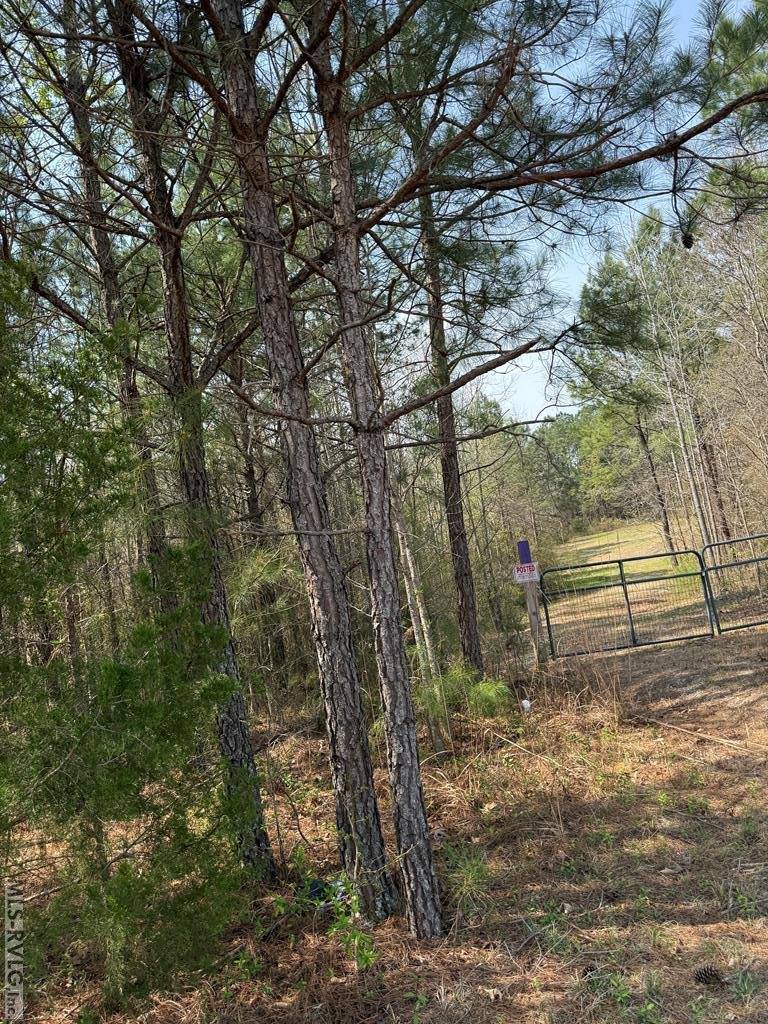 1280 Schloss Rd, Louisburg, NC 27549