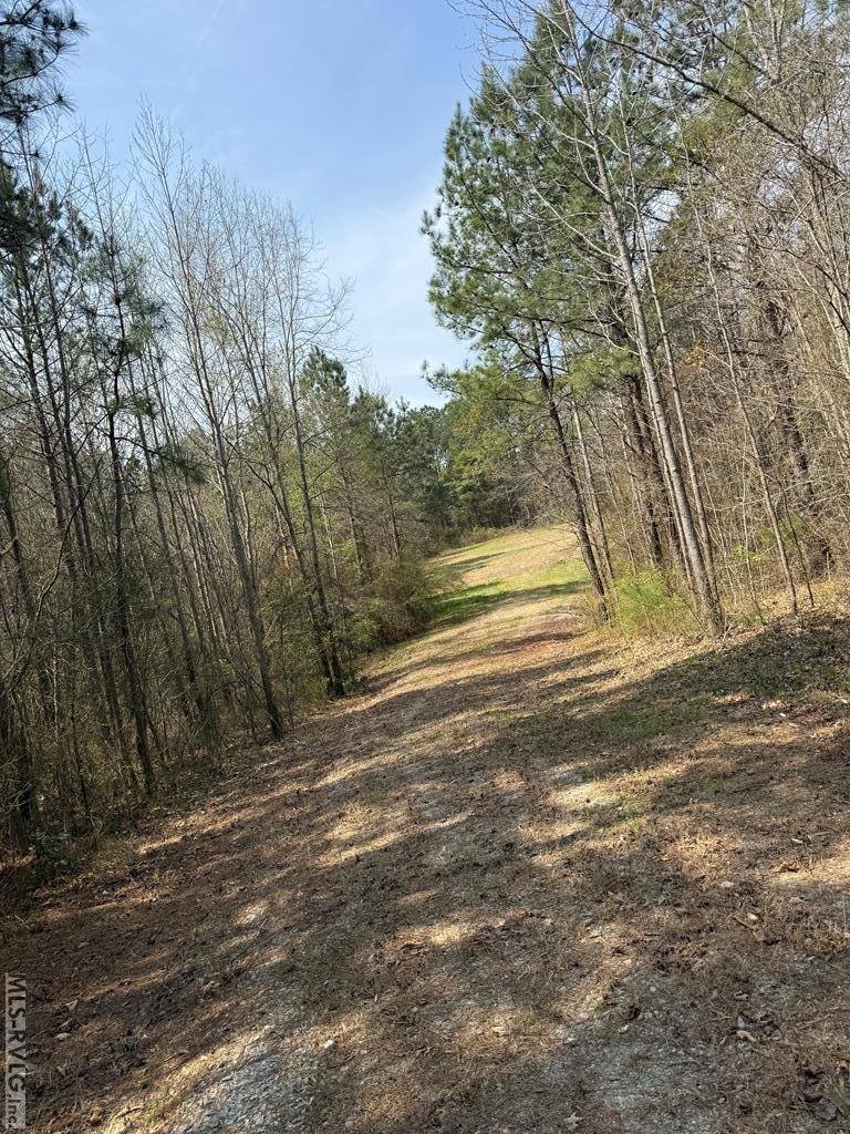 1280 Schloss Rd, Louisburg, NC 27549