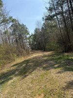 1280 Schloss Rd, Louisburg, NC 27549