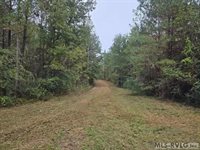 1280 Schloss Rd, Louisburg, NC 27549