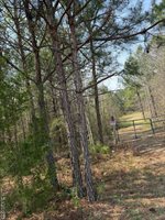 1280 Schloss Rd, Louisburg, NC 27549