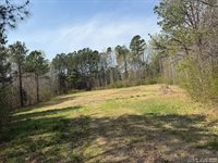 1280 Schloss Rd, Louisburg, NC 27549