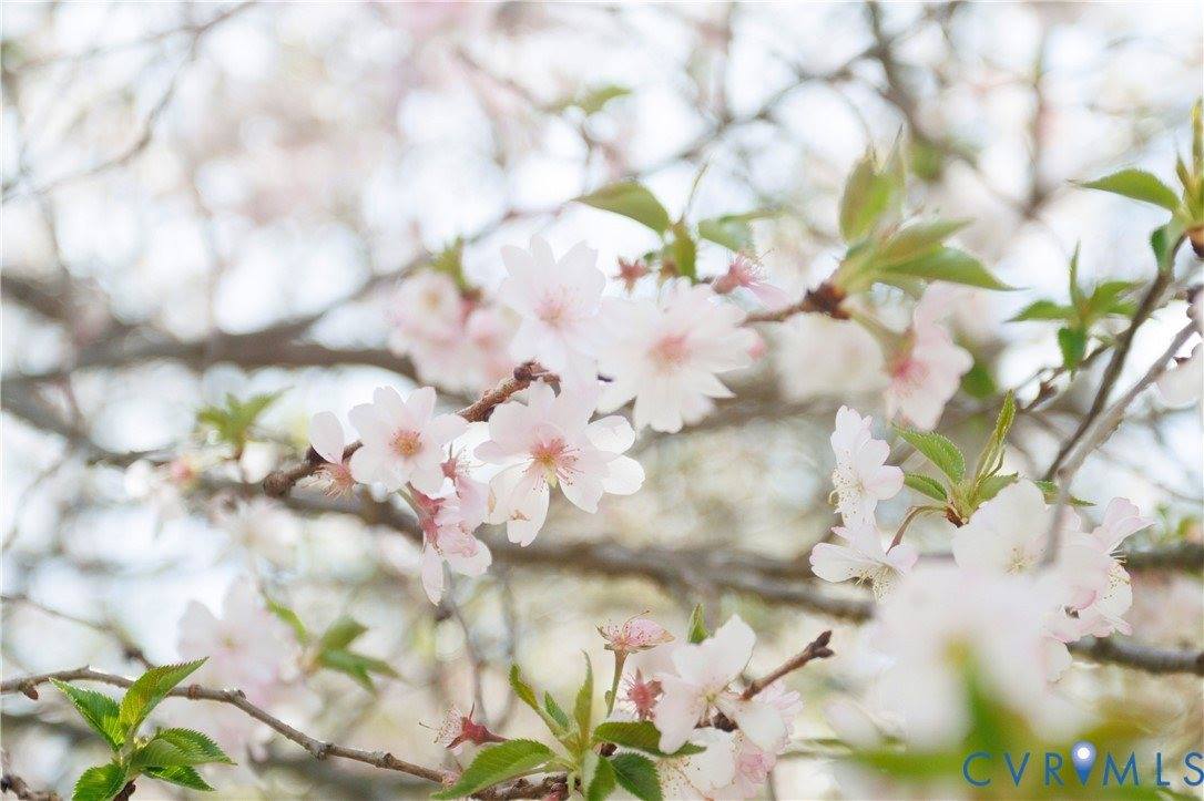 7049 Tammy Court, Mechanicsville, VA 23111