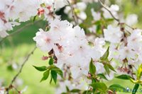 7049 Tammy Court, Mechanicsville, VA 23111