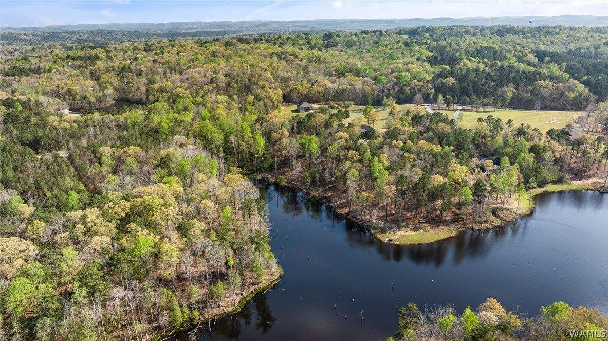 14530 Lost Lake Drive, Tuscaloosa, AL 35405