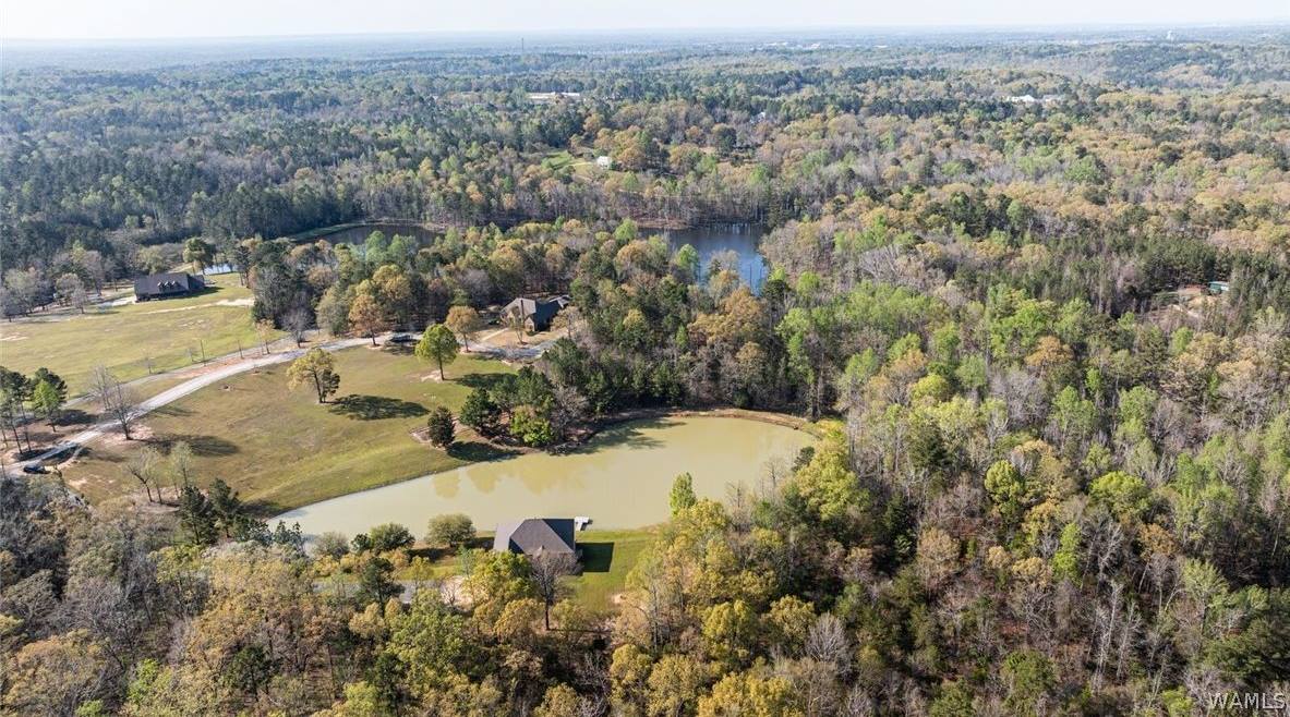 14530 Lost Lake Drive, Tuscaloosa, AL 35405