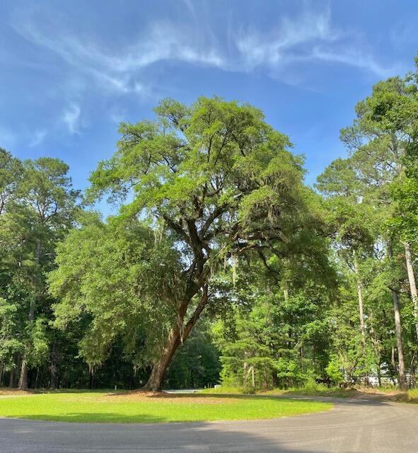6301 Buttonbush Drive, Ravenel, SC 29470