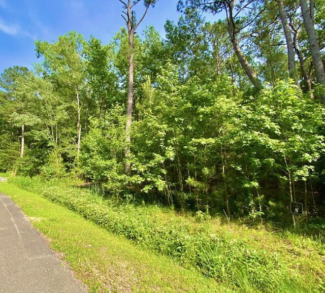 6301 Buttonbush Drive, Ravenel, SC 29470